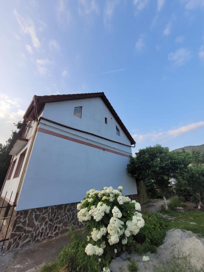 Vila Castelana Caciulata Exteriör bild